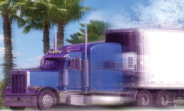 First Coast Refrigerated Transport in jacksonville florida
